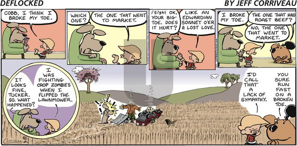 DeFlocked on Sunday August 3, 2008 Comic Strip
