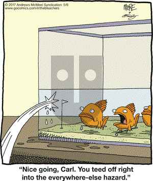 In the Bleachers on Saturday May 6, 2017 Comic Strip