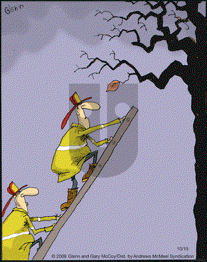 The Flying McCoys on Tuesday October 15, 2019 Comic Strip