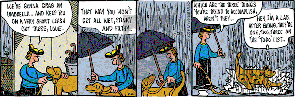 Overboard on Wednesday December 2, 2009 Comic Strip