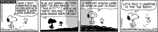 Peanuts - Saturday November 18, 1972 Comic Strip