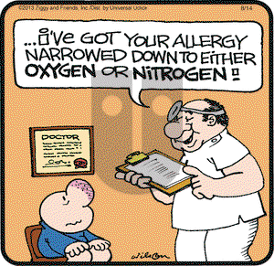 Ziggy on Wednesday August 14, 2013 Comic Strip