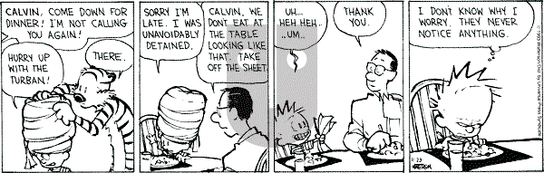 Calvin and Hobbes - Tuesday November 23, 1993 Comic Strip