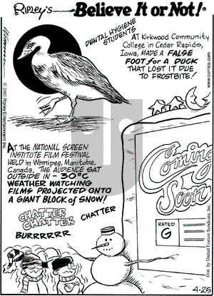 Ripley's Believe It or Not on Friday April 25, 2003 Comic Strip