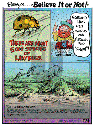 Ripley's Believe It or Not on Saturday July 24, 2021 Comic Strip