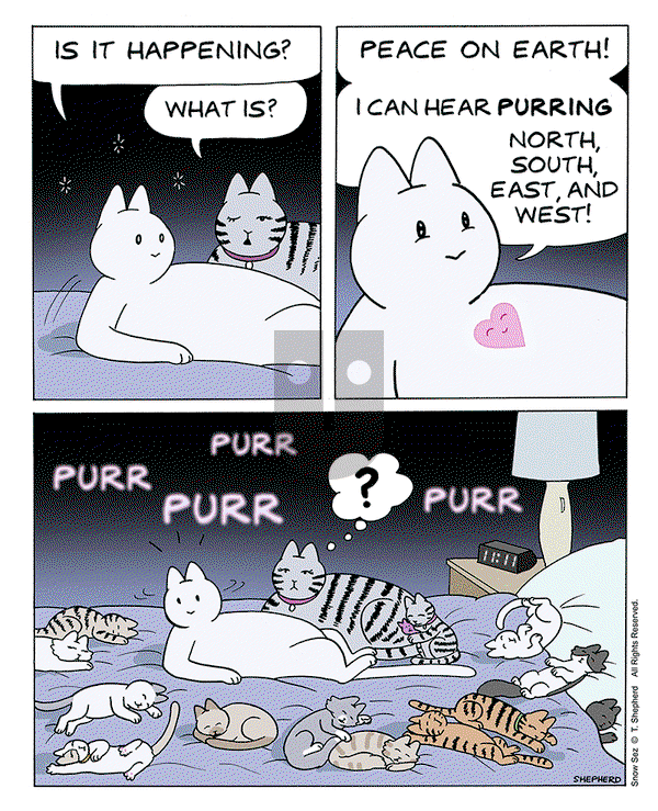 Snow Sez on Friday November 17, 2023 Comic Strip