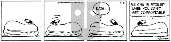 Peanuts on Wednesday July 8, 1981 Comic Strip