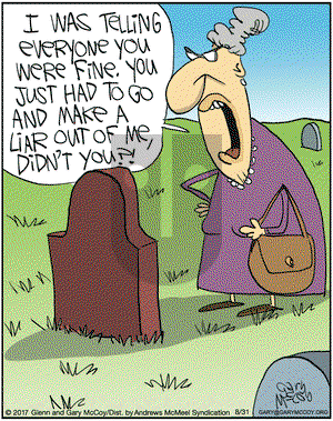 The Flying McCoys on Thursday August 31, 2017 Comic Strip