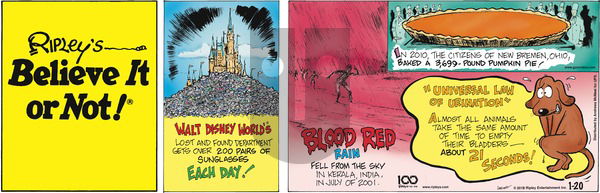 Ripley's Believe It or Not on Sunday January 20, 2019 Comic Strip