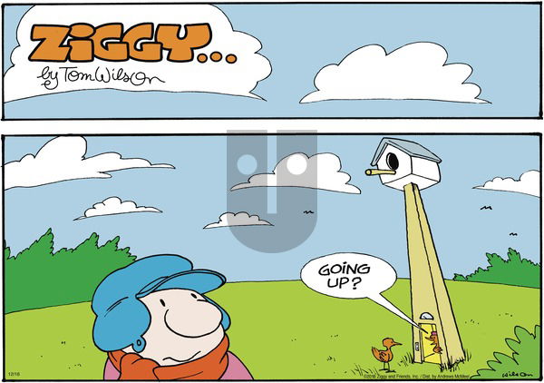 Ziggy on Sunday December 16, 2018 Comic Strip
