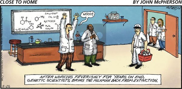 Close to Home on Sunday May 25, 2025 Comic Strip