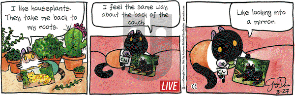 Breaking Cat News on Wednesday March 27, 2019 Comic Strip