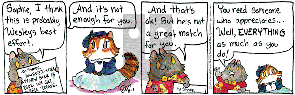Breaking Cat News - Wednesday May 1, 2024 Comic Strip