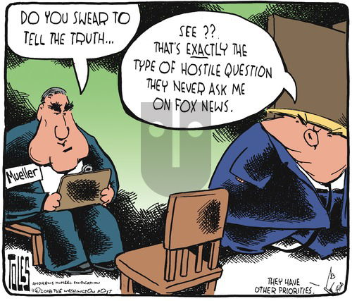 Tom Toles on Sunday November 25, 2018 Comic Strip