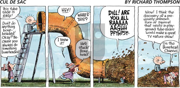 Cul de Sac on Sunday November 28, 2010 Comic Strip