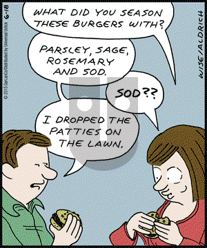 Real Life Adventures on Thursday June 18, 2015 Comic Strip