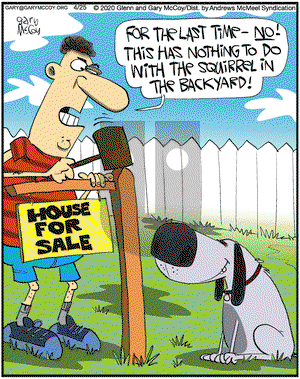 The Flying McCoys on Saturday April 25, 2020 Comic Strip