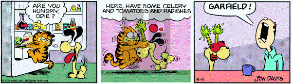 Garfield on Saturday May 5, 1979 Comic Strip