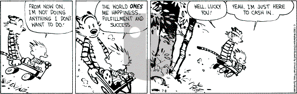 Calvin and Hobbes - Thursday July 8, 1993 Comic Strip