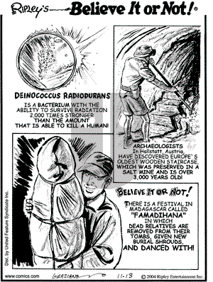 Ripley's Believe It or Not - Saturday November 13, 2004 Comic Strip