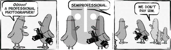 W.T. Duck on Friday December 22, 2023 Comic Strip