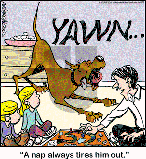 Marmaduke on Thursday November 21, 2019 Comic Strip
