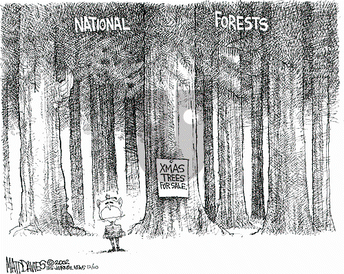 Matt Davies on Monday December 9, 2002 Comic Strip