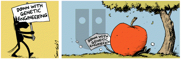 Dark Side of the Horse on Tuesday June 19, 2012 Comic Strip