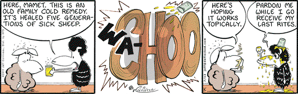 DeFlocked on Wednesday July 13, 2011 Comic Strip