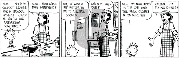 Calvin and Hobbes on Monday October 9, 1995 Comic Strip