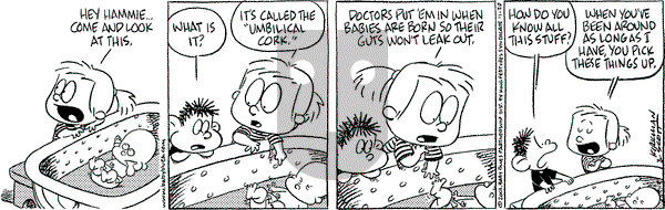 Baby Blues on Wednesday November 20, 2002 Comic Strip