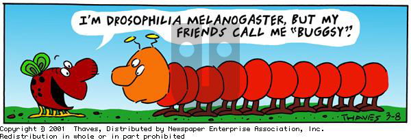 Frank and Ernest on Thursday March 8, 2001 Comic Strip