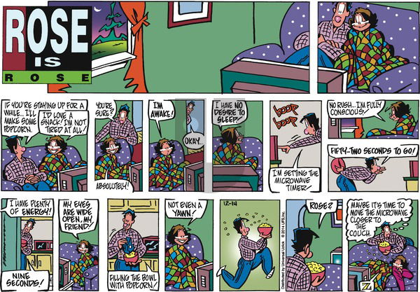 Rose is Rose on Sunday December 14, 2014 Comic Strip