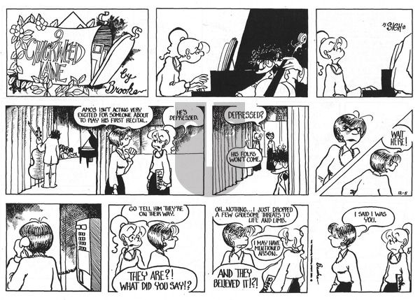 9 Chickweed Lane on Sunday December 5, 1993 Comic Strip