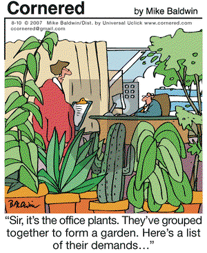 Cornered on Monday August 10, 2015 Comic Strip