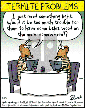 Loose Parts on Saturday May 24, 2025 Comic Strip