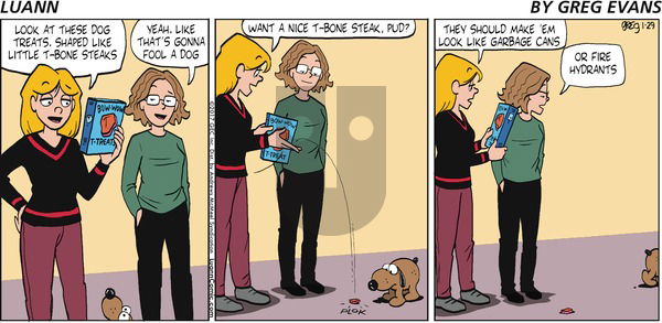 Luann - Sunday January 29, 2017 Comic Strip