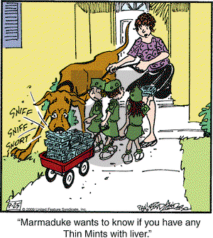 Marmaduke on Friday September 25, 2009 Comic Strip