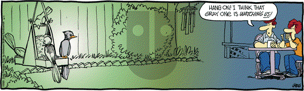 The Buckets on Saturday July 3, 2021 Comic Strip