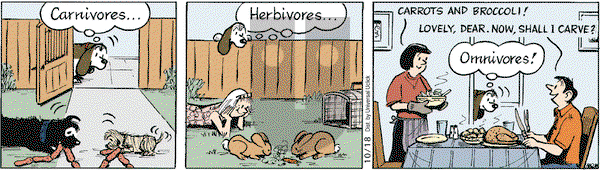 Fred Basset on Tuesday October 18, 2011 Comic Strip