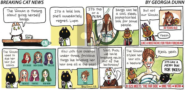 Breaking Cat News on Sunday November 25, 2018 Comic Strip