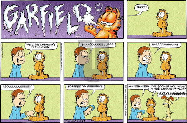 Garfield on Sunday November 23, 2008 Comic Strip