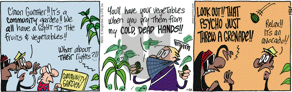 The Knight Life on Wednesday January 20, 2010 Comic Strip