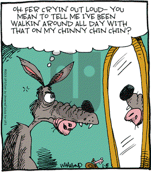 Reality Check on Tuesday January 8, 2013 Comic Strip