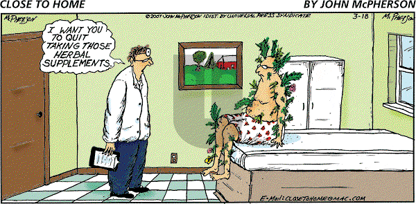 Close to Home on Monday April 23, 2007 Comic Strip