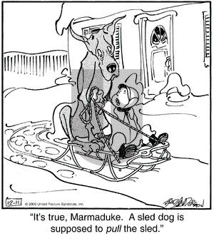 Marmaduke - Monday December 11, 2000 Comic Strip