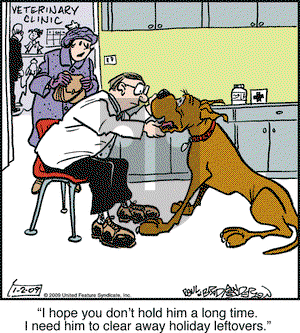 Marmaduke on Friday January 2, 2009 Comic Strip
