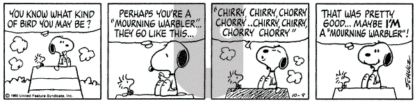 Peanuts on Thursday October 9, 1980 Comic Strip