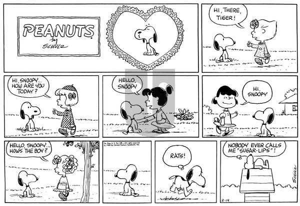 Peanuts on Sunday February 14, 1965 Comic Strip