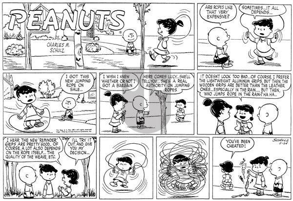 Peanuts on Sunday May 24, 1953 Comic Strip